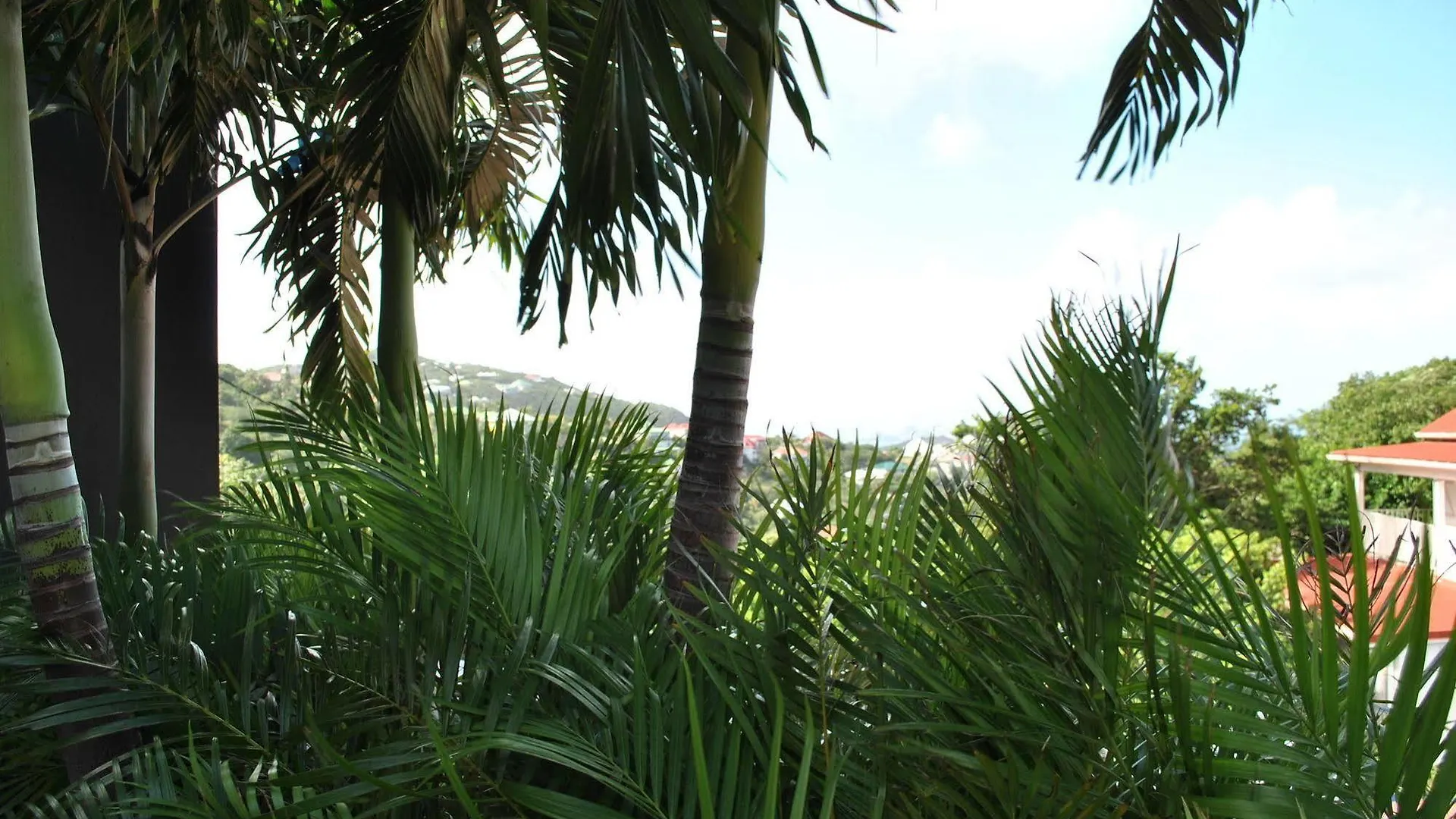 Апарт отель Reve De St. Barth Густавия